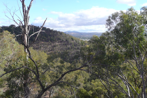 Winter rogaine course view